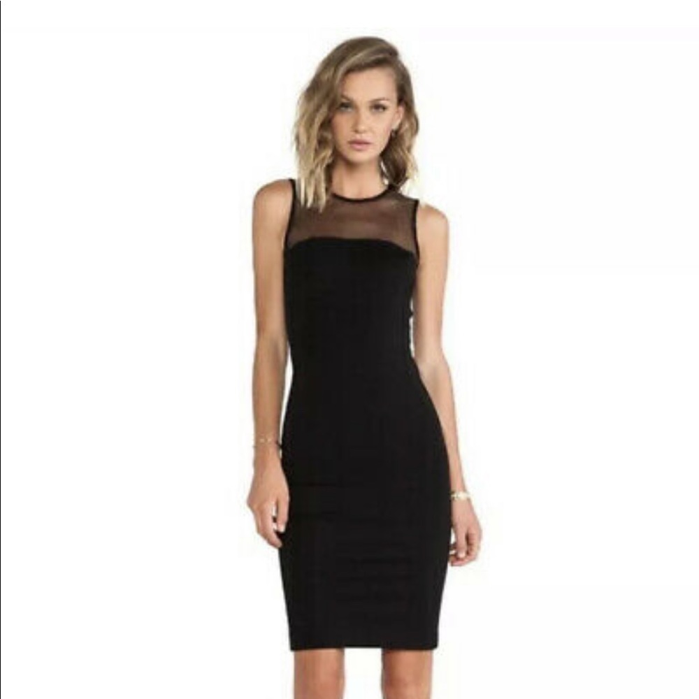 Torn by Ronny Kobo mesh illusion dress